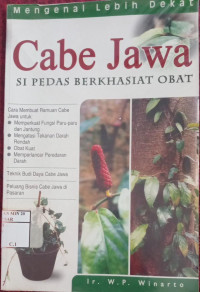 Image of Cabe Jawa Si Pedas Berkhasiat Obat