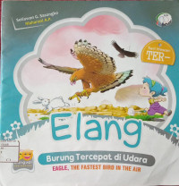 Image of Elang Burung Tercepat di Udara